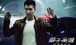 在线观看痞子英雄全集,热血激战，正义与邪恶的终极对决