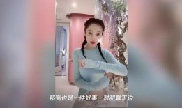 李小璐近况爆料视频,生活新篇章，揭秘幕后故事